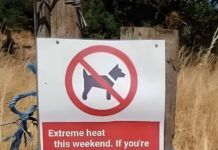 24 Hilarious New Signs That Are Brightening the Internet—Thanks to This Viral Facebook Group 24 Hilarious New Signs That Are Brightening the Internet